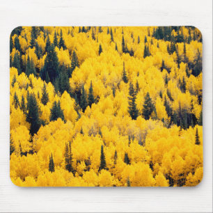 Tapis De Souris Forêt nationale de White River   Aspen, Colorada