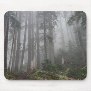 Tapis De Souris Forêt Nature