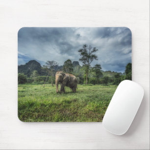 Tapis De Souris Forêt Parc national de Kao Sok