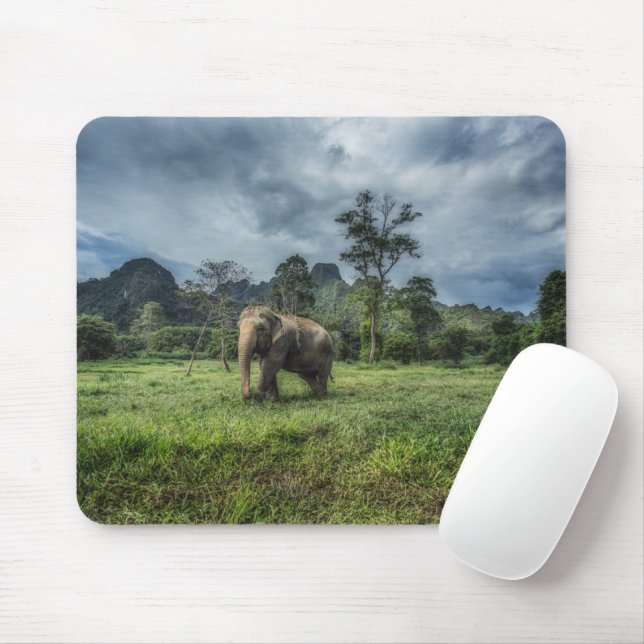 Tapis De Souris Forêt | Parc national de Kao Sok (Avec souris)