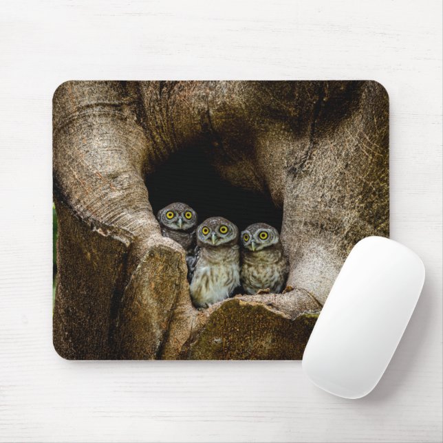 Tapis De Souris Forêt | Trois Chouettes (Avec souris)