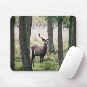 Tapis De Souris Forêt   Woodlands & Red Deer
