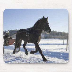 Tapis De Souris Formation des chevaux dans un paysage hivernal,