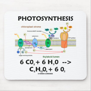 Tapis De Souris Formule de photosynthèse (produit chimique)