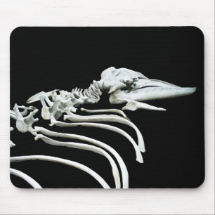 Tapis De Souris Fossile de baleine grise