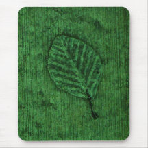 Fossile de feuille verte
