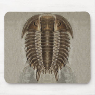 Tapis De Souris Fossile Mousepad de Trilobite