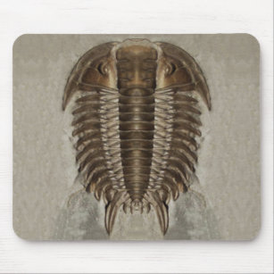 Tapis De Souris Fossile Mousepad de Trilobite