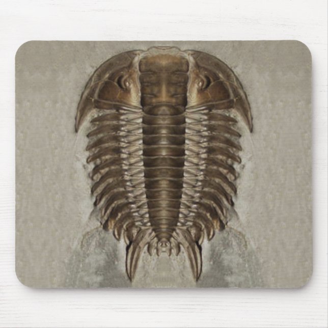 Tapis De Souris Fossile Mousepad de Trilobite (Devant)