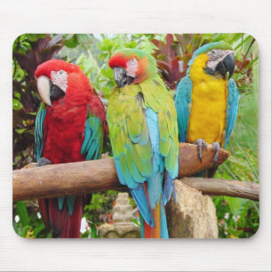 Tapis De Souris Foule de perroquets macaw colorés