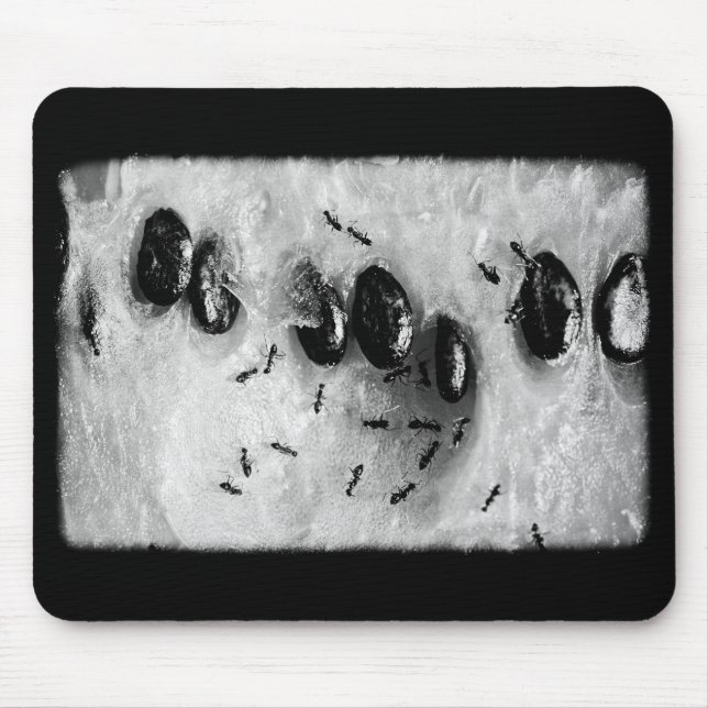 Tapis De Souris fourmis de surf (Devant)