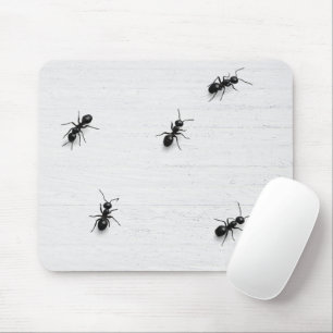 Tapis De Souris Fourmis noires sur du bois blanchi à la chaux