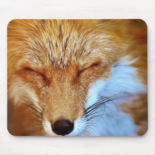Tapis De Souris Fox (Devant)