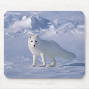 Tapis De Souris Fox arctique