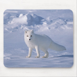 Tapis De Souris Fox arctique