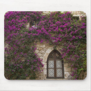 Tapis De Souris France, Provence, Eze. Rose brillant