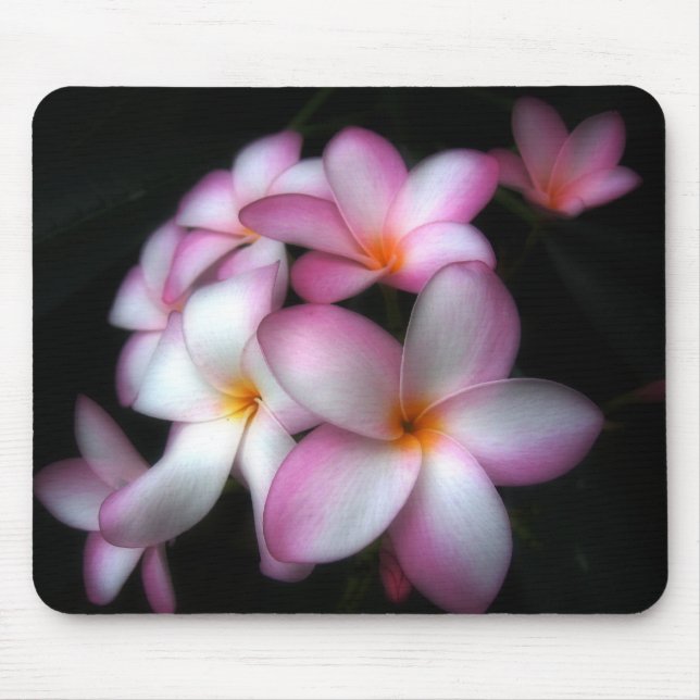 Tapis De Souris Frangipani en fleur (Devant)