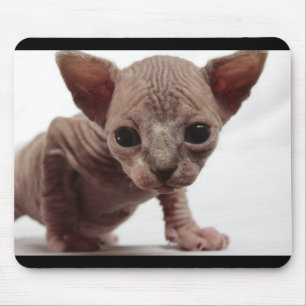 Tapis De Souris Freaky Cute Furless