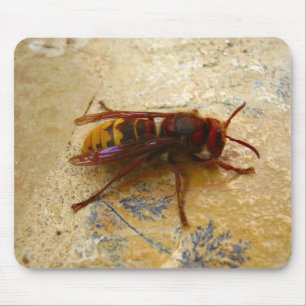 Tapis de souris frelon asiatique