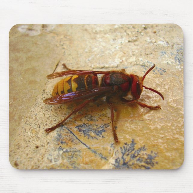 Tapis de souris frelon asiatique (Devant)