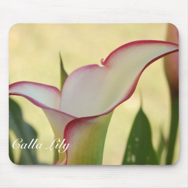 Tapis De Souris Fringe rouge Calla Lily (Devant)