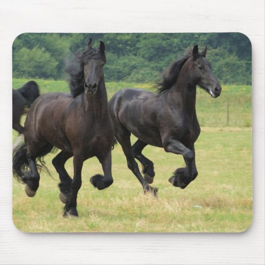 Tapis De Souris Frison Galopant De Chevaux Zazzle Fr