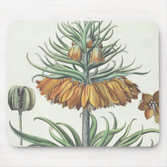 Tapis De Souris Fritillaire : Classe de florum d'Imperialis de (Devant)