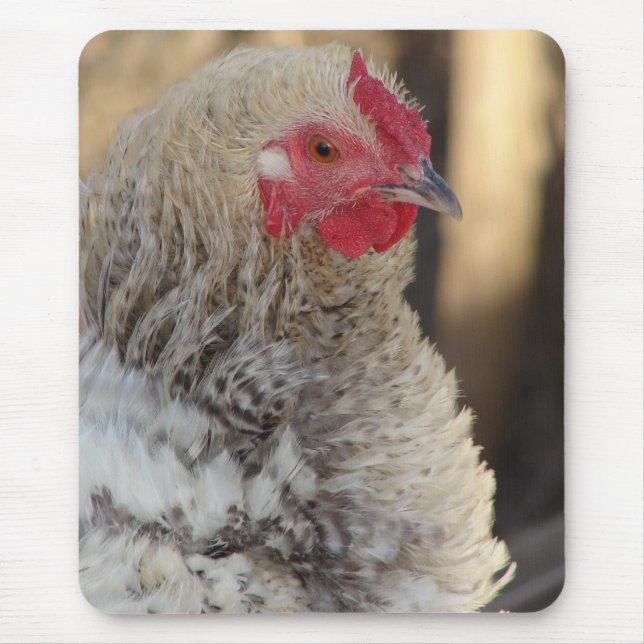 Tapis De Souris Frizzle Rooster (Devant)