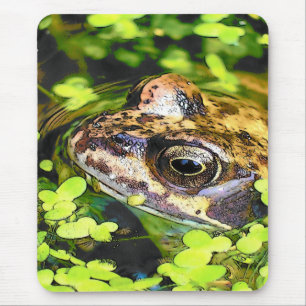 TAPIS DE SOURIS FROG