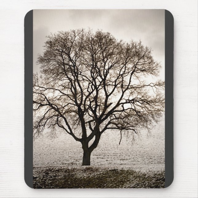 Tapis De Souris froid et beau (Devant)
