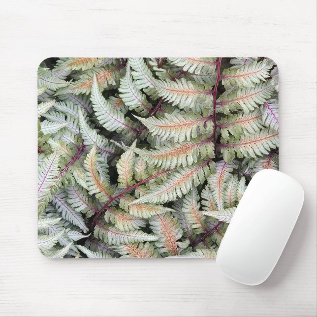 Tapis De Souris Fronds japonais Athyrium Pictum Fern (Avec souris)