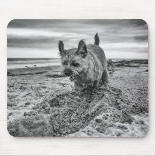 Tapis De Souris Frontière Terrier creusant, photographie, Mousepad