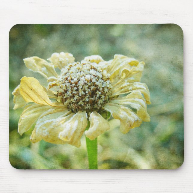 Tapis De Souris Frosty Zinna (Devant)