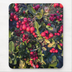 Tapis De Souris Fruit d'automne
