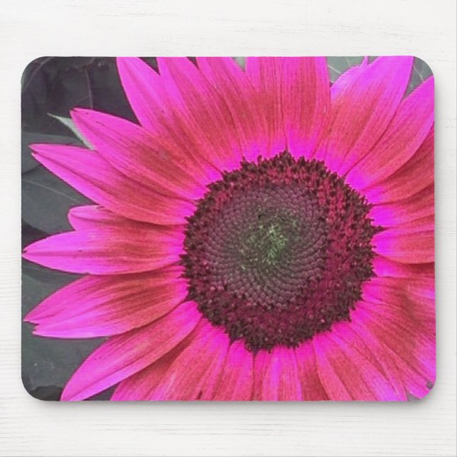 Tapis De Souris Fruit de tournesol rose CHAUD (Devant)