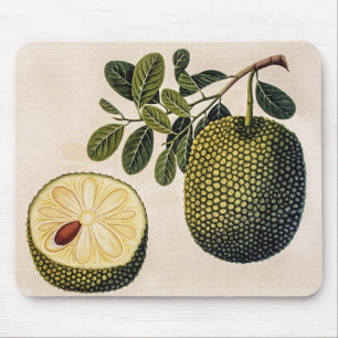 Tapis De Souris Fruit et feuillage durian