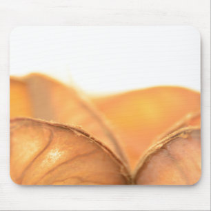 Tapis De Souris Fruit orange