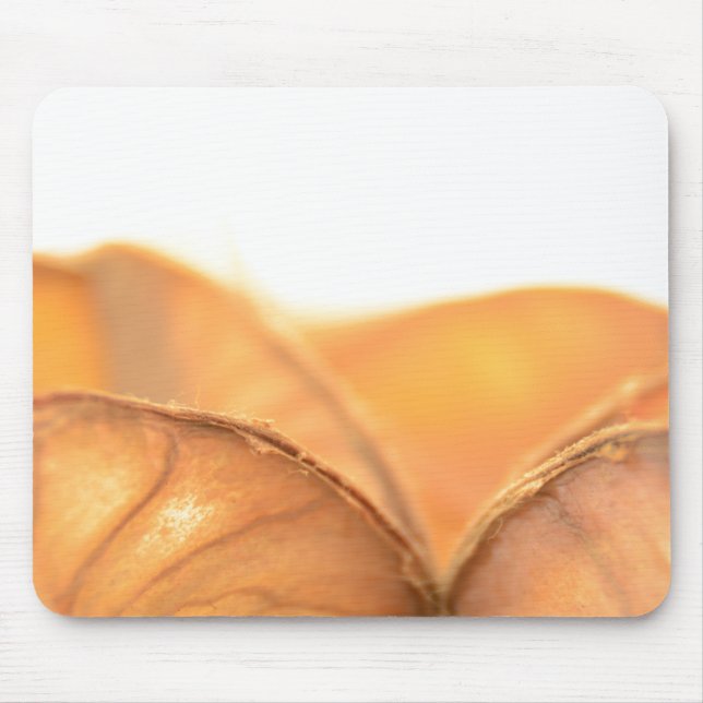 Tapis De Souris Fruit orange (Devant)