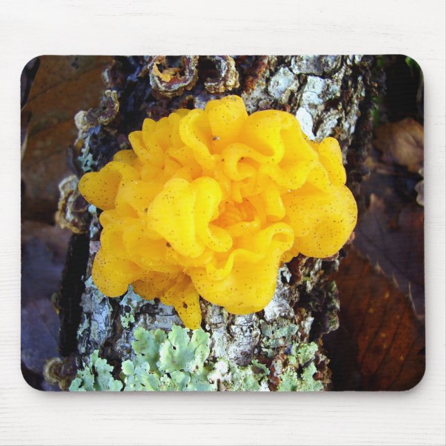 Tapis De Souris Fungi Tremella Mesenterica Mouse Mat (Devant)