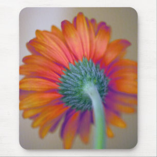 Tapis De Souris Funky Gerbera