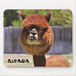 Tapis De Souris Funny Alpaca Mousepad