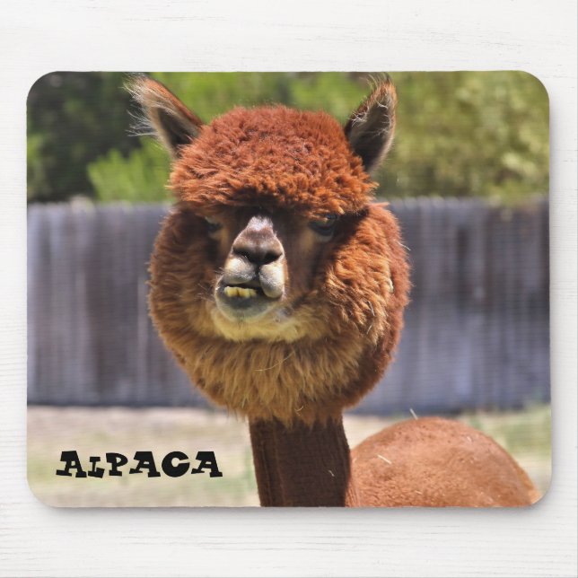 Tapis De Souris Funny Alpaca Mousepad (Devant)