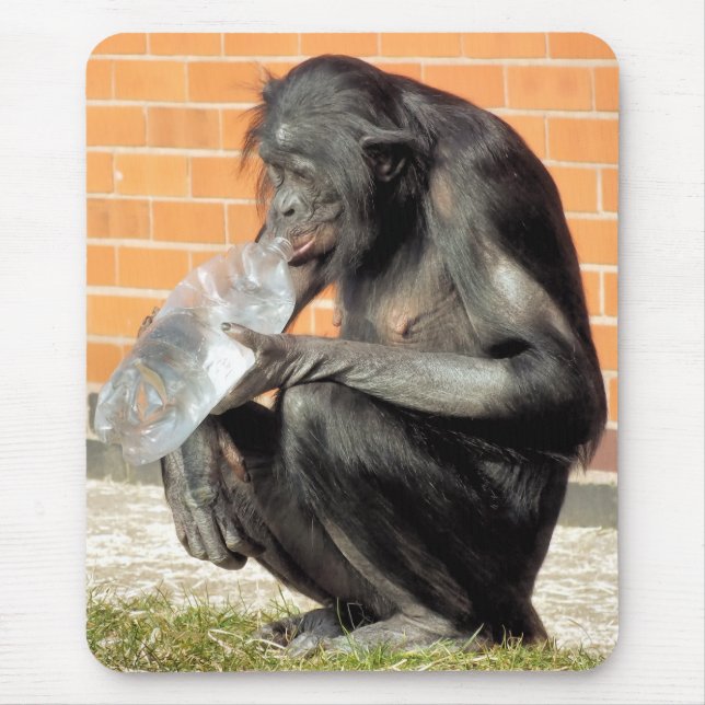 TAPIS DE SOURIS FUNNY CHIMP (Devant)