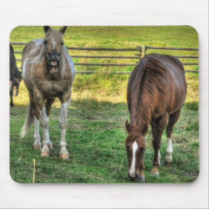 Tapis De Souris Funny Pinto Stallion & Sorrel Mare Horse Friends