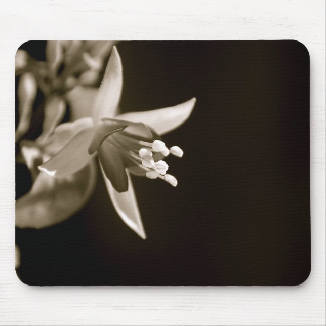 Tapis De Souris Fuschia noir/blanc Mousepad (Devant)