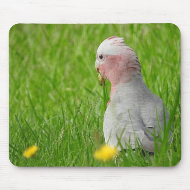 Tapis De Souris Galah Mousepad (Devant)