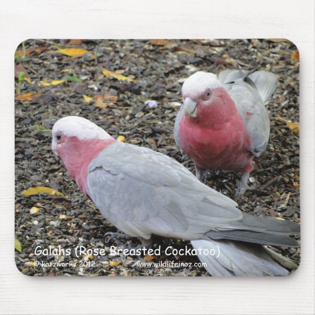 Tapis De Souris Galahs (cacatoès rose de Breasted) (Devant)