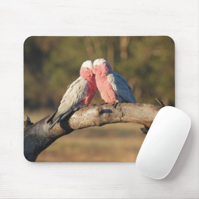 Tapis De Souris Galahs roses (Avec souris)