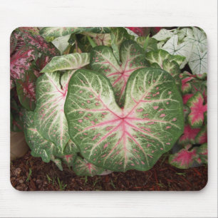 Tapis De Souris Galaxie de Caladium