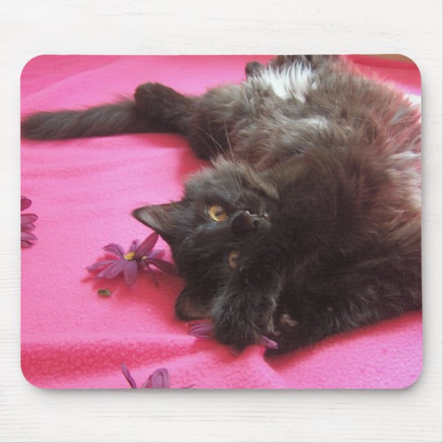 Tapis De Souris gallon idiot (Devant)